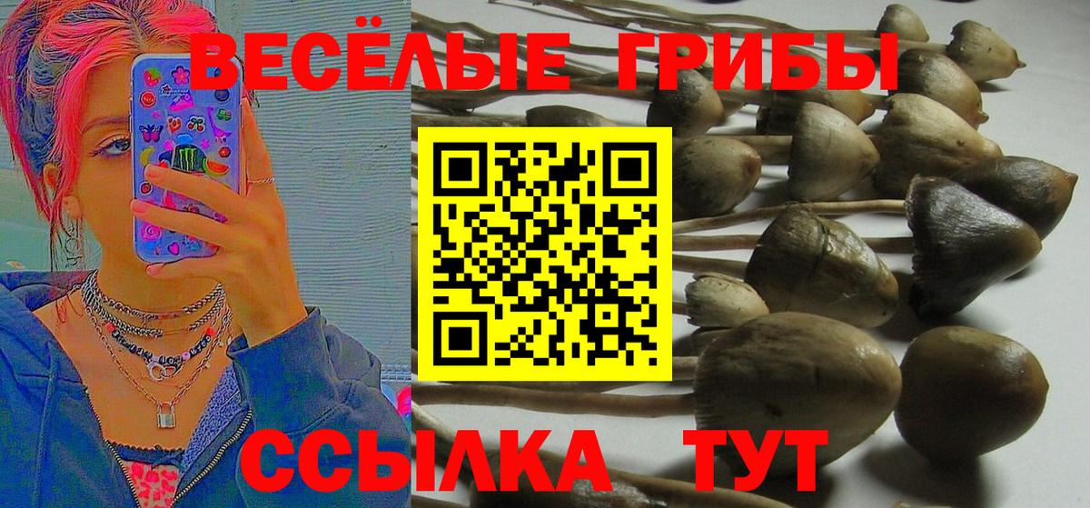Псилоцибиновые грибы Magic Shrooms  Вход с VPN  Семилуки 